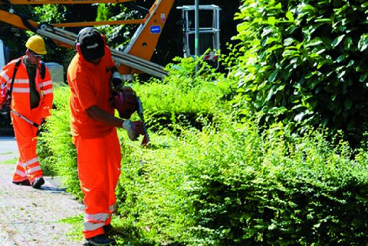 Avviso esplorativo di manifestazione di interesse riservato alle cooperative sociali per servizi di pulizia uffici ed immobili comunali, e manutenzione patrimonio-18 MES